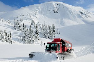 snow cat skiing